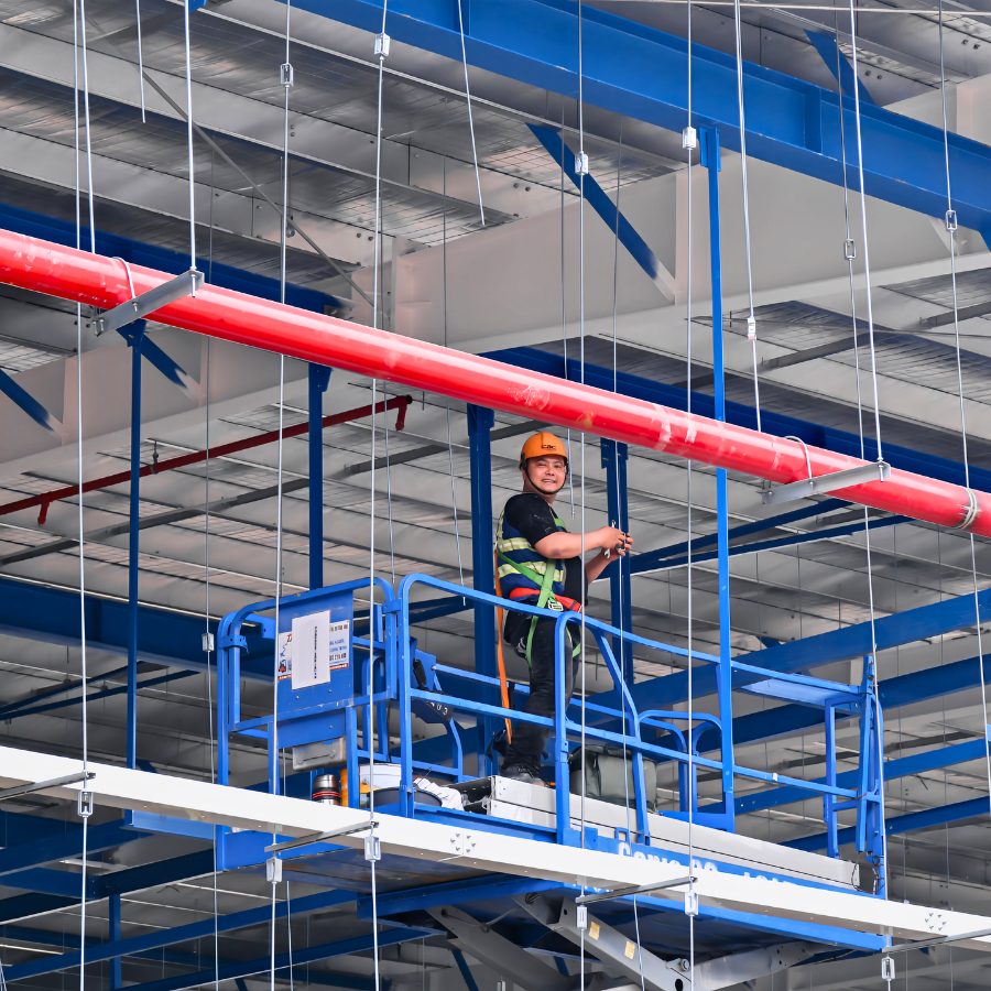 Technical Expertise and System Reliability